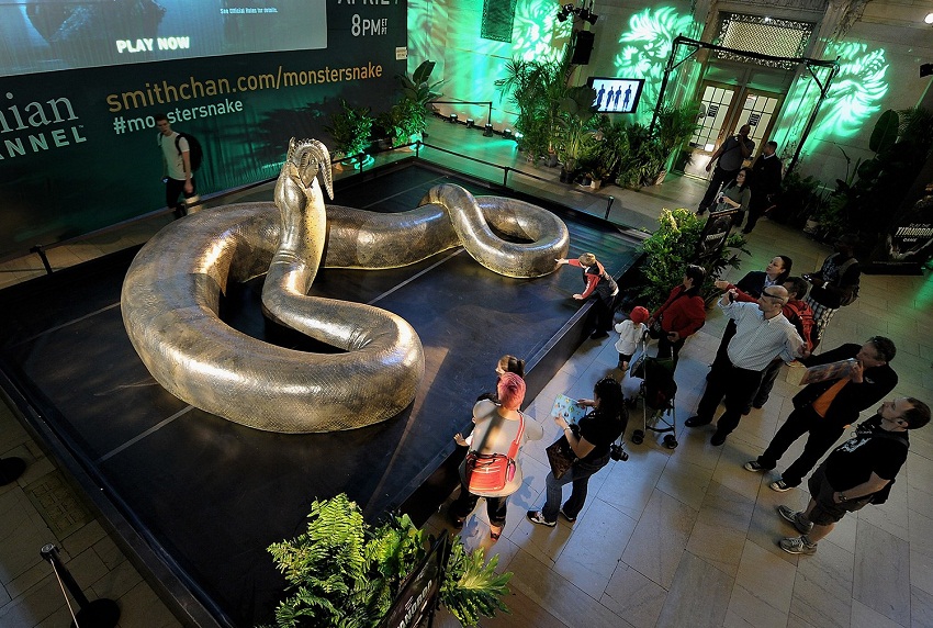 Naga